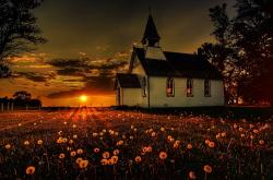 在线dicom-超凡app下载