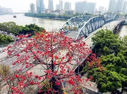 5C漖P湽s?妶旅YT鶶q摥1I埃`?的简单介绍